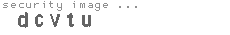 security image