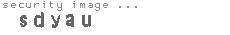 security image