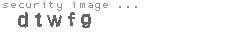 security image