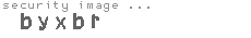 security image