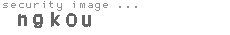 security image