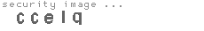 security image