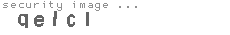 security image