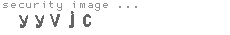 security image