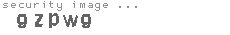 security image