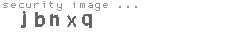 security image