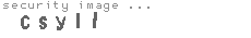 security image
