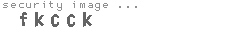 security image