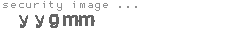 security image