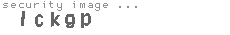 security image