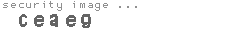 security image