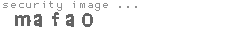 security image