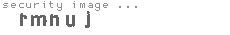 security image