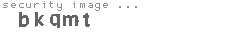 security image