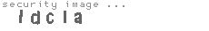 security image