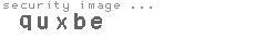 security image