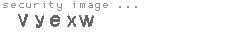security image