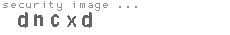 security image