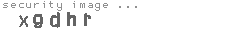 security image