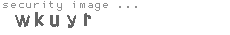 security image