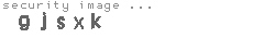 security image