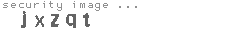 security image