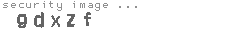 security image