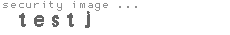security image