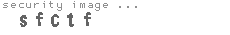 security image