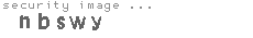 security image