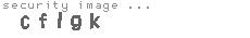 security image