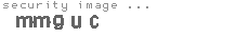 security image