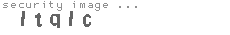 security image