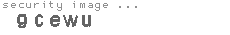 security image