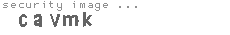 security image