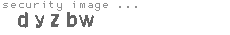 security image