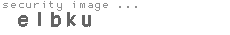 security image