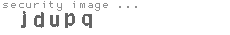 security image