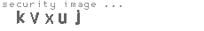 security image