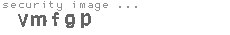 security image