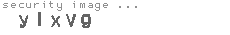 security image