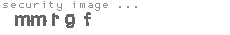 security image