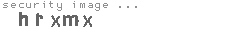 security image
