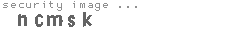 security image