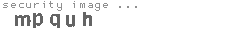security image