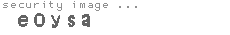 security image