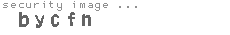 security image