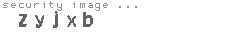 security image
