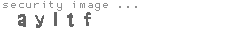 security image