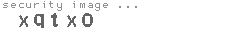 security image